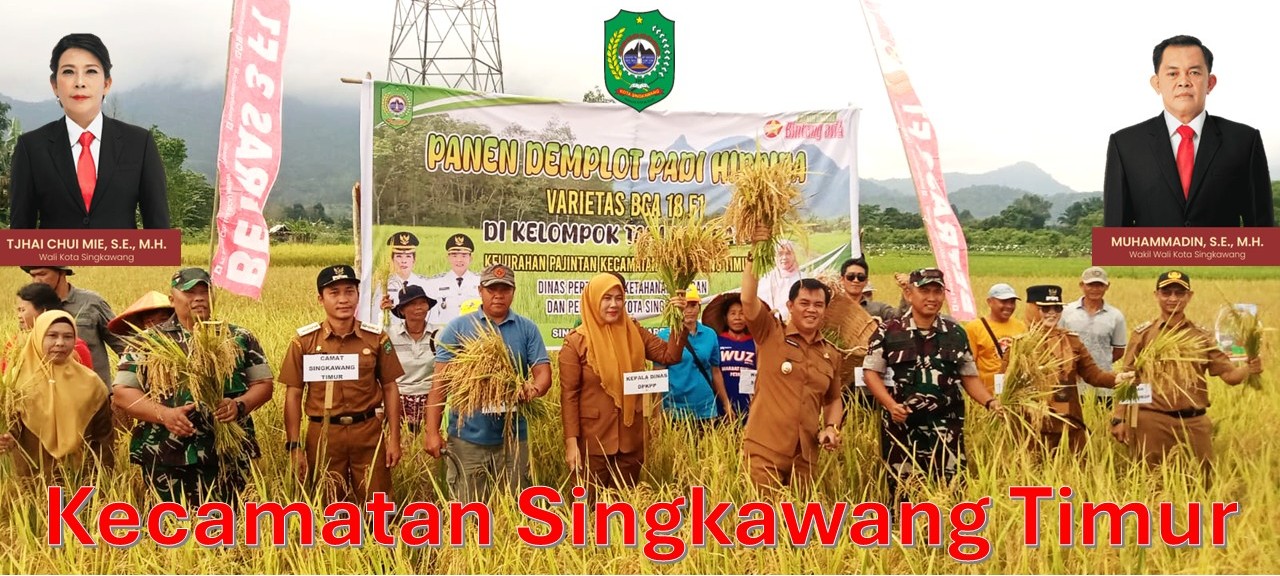 Banner Kecamatan Singkawang Timur Pemerintah Kota Singkawang