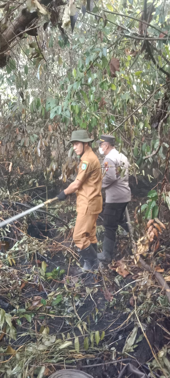 pemadaman-kebakaran-hutan-dan-lahan-di-senggang-kelurahan-mayasopa-kecamatan-singkawang-timur